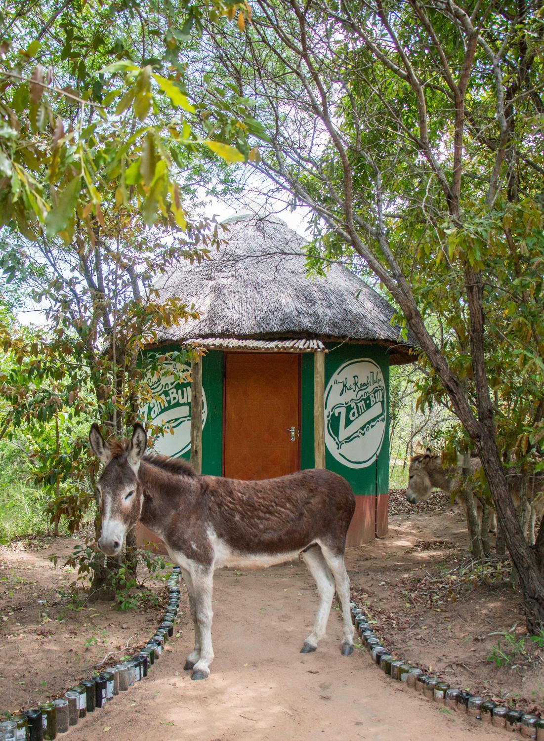 Shik Shack Backpackers Campsite