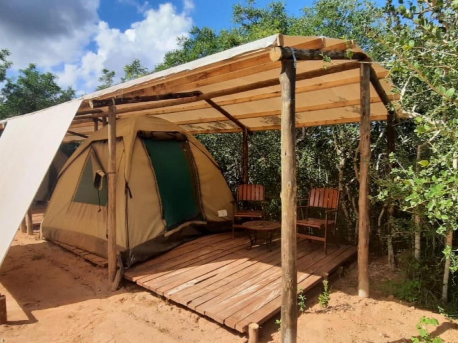 Shik Shack Backpackers * Guernsey Nature Reserve